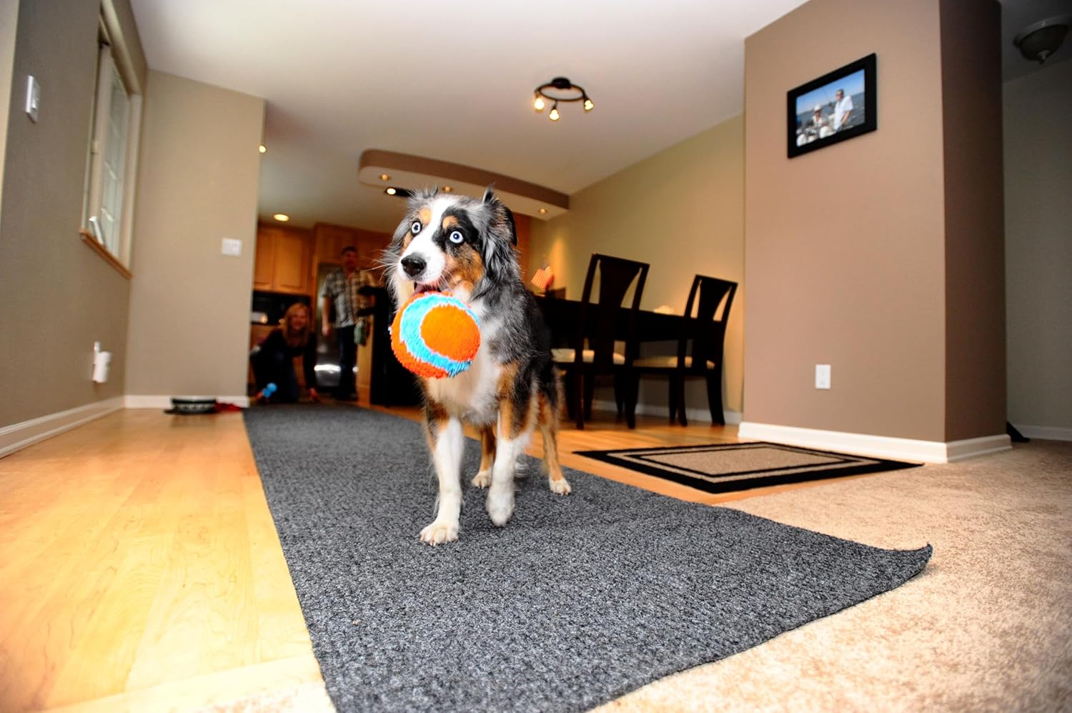 Chuckit! Indoor Ball For Dogs Soft Dog Toy Puppy Chew Toy Fetch Dog Ball - Image 3