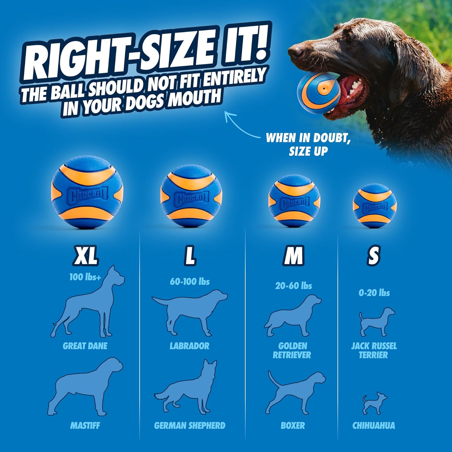 ChuckIt! Ultra Ball Dog Toy, Durable High Bounce Floating Rubber Dog Ball - Image 4