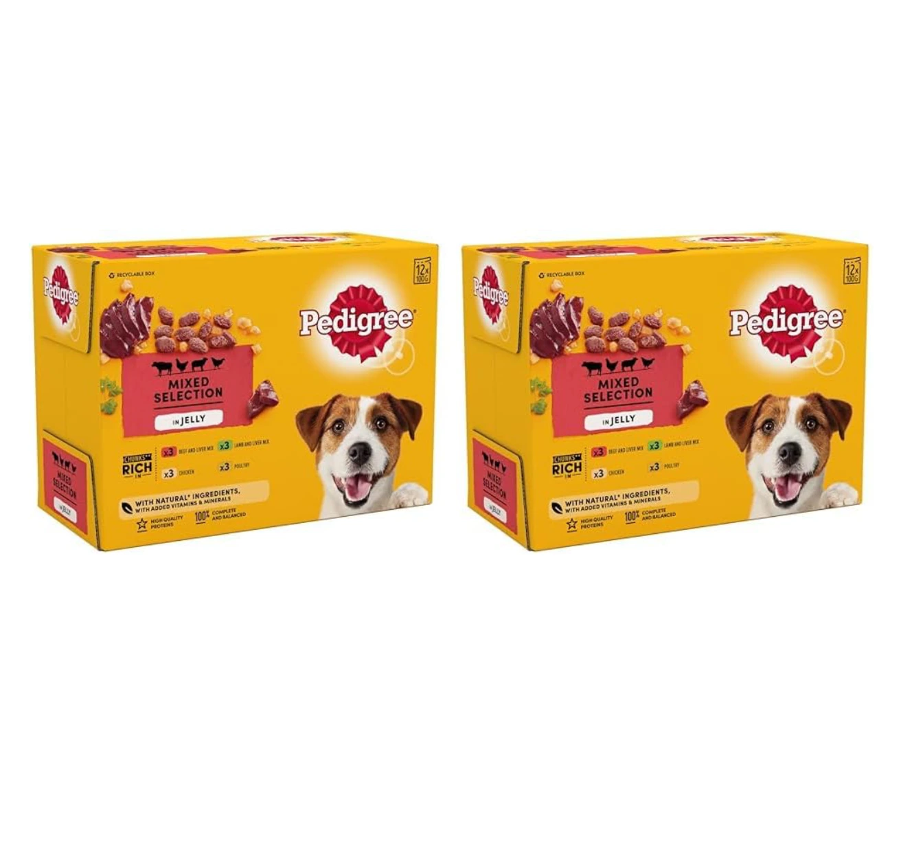 Pedigree Wet Dog Food for Adult Dogs Pouches Mixed Selection in Jelly, 12 Pouches (12 x 100g) (Pack of 2)