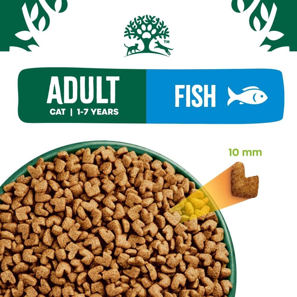 James Wellbeloved Adult Fish 1.5 kg Bag, Hypoallergenic Dry Cat Food - Image 2