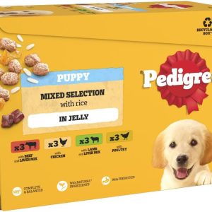 Pedigree Junior Wet Dog Food for Young Dogs and Puppies, 12 Pouches (12 x 100 g)