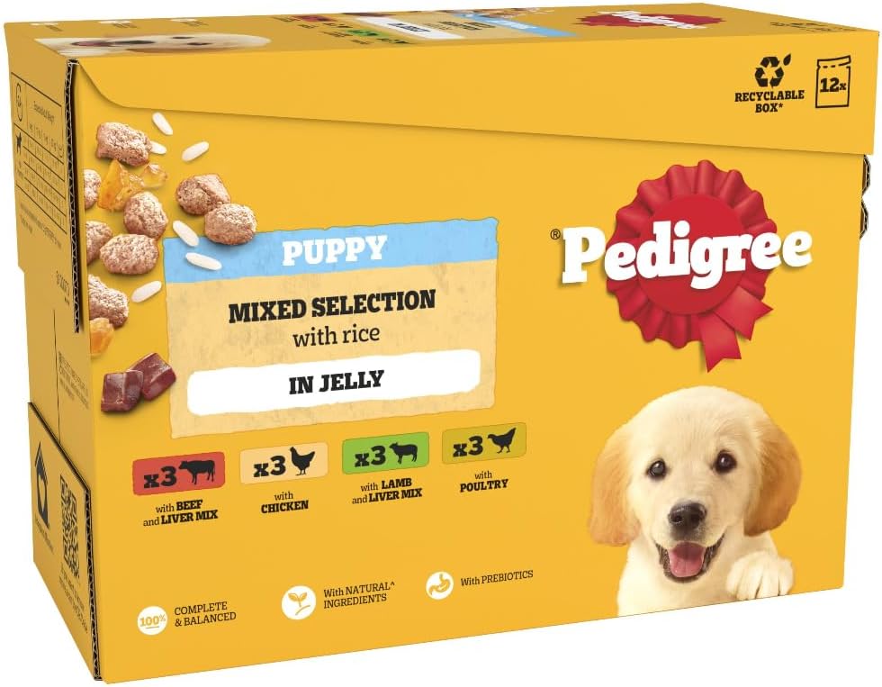 Pedigree Junior Wet Dog Food for Young Dogs and Puppies, 12 Pouches (12 x 100 g)